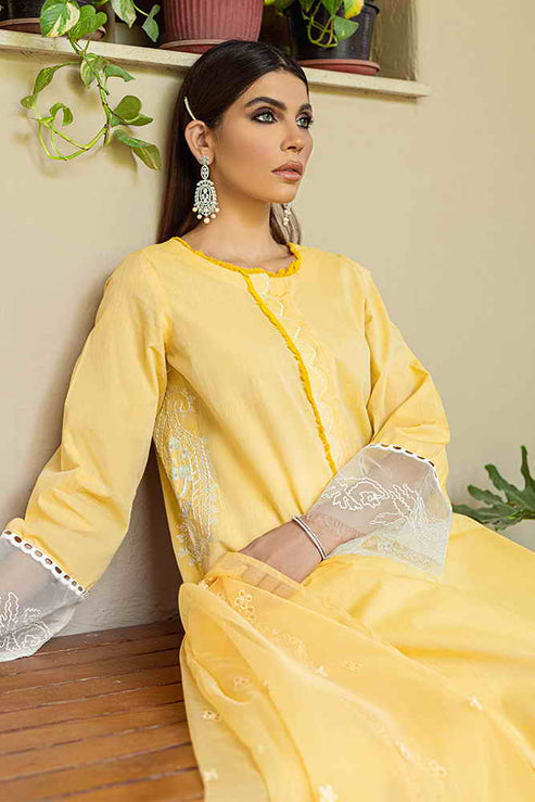 Aghaaz by Zoya & Fatima Ready to Wear Suit - Asilah