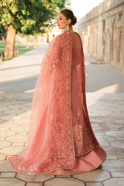 Pehli Nazar by Ayzel Embroidered Organza Unstitched 3Pc Suit D-06 Rukhsar