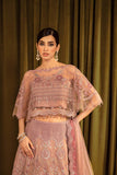 Alizeh Mehfil-e-Uroos Festive Net Unstitched 3Pc Suit D-06 Anamta