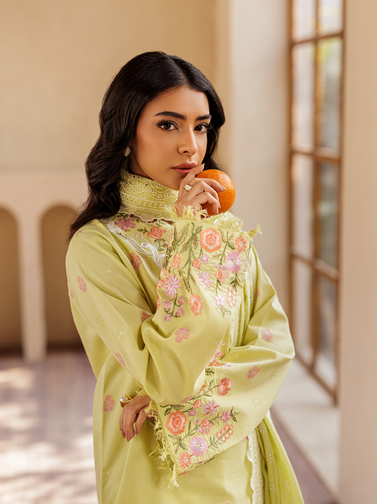 RajBari Amari Embroidered Lawn Jacquard Unstitched 3Pc Suit D-08