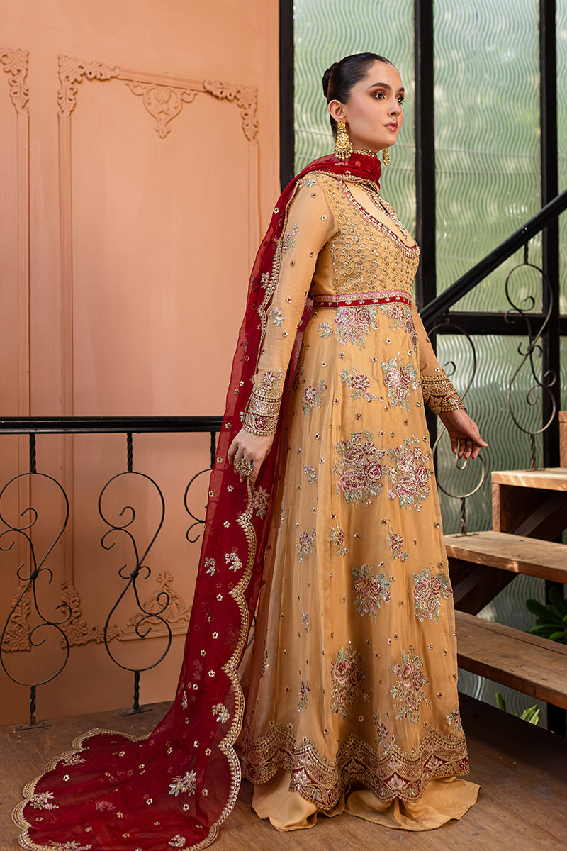 Roheenaz Naira Embroidered Chiffon Unstitched 3Pc Suit RNZ-07 Aylin