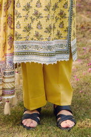 Gul Ahmed Tribute to Mothers Printed Lawn Unstitched 3Pc Suit CL-62116 A