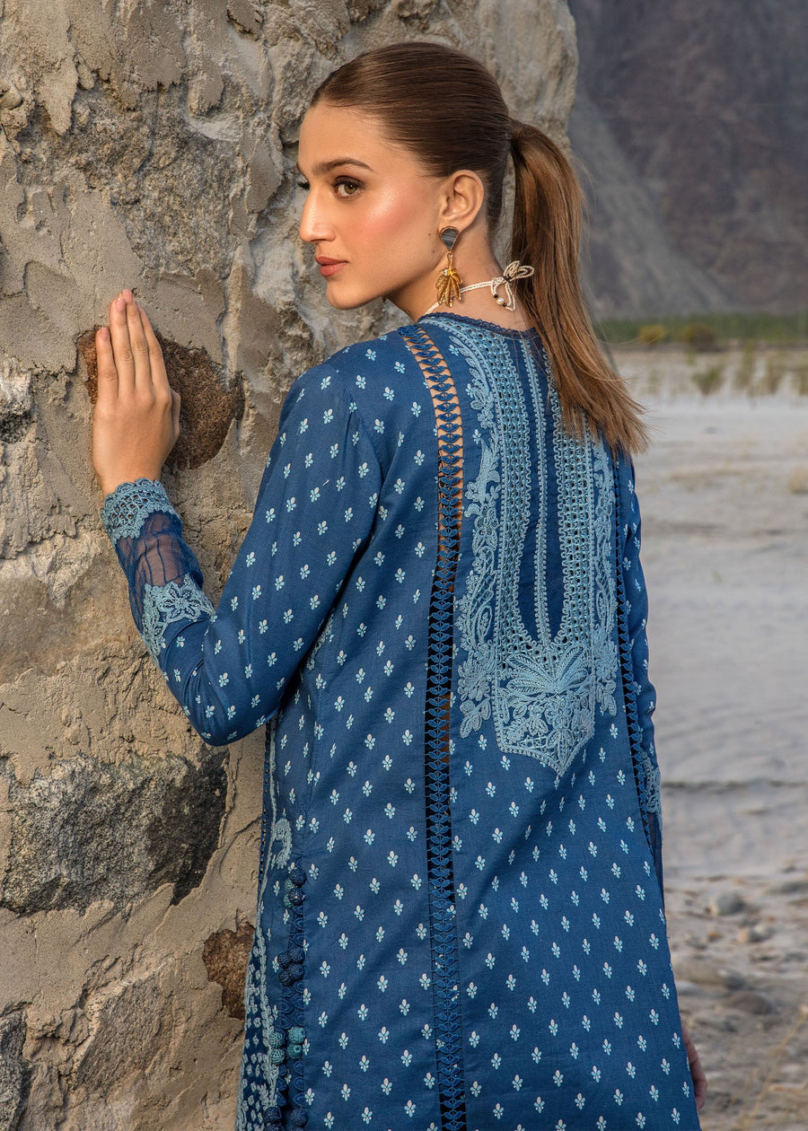 Crimson Embroidered Lawn Unstitched 3Pc Suit CL24-D1B Dancing Paisleys