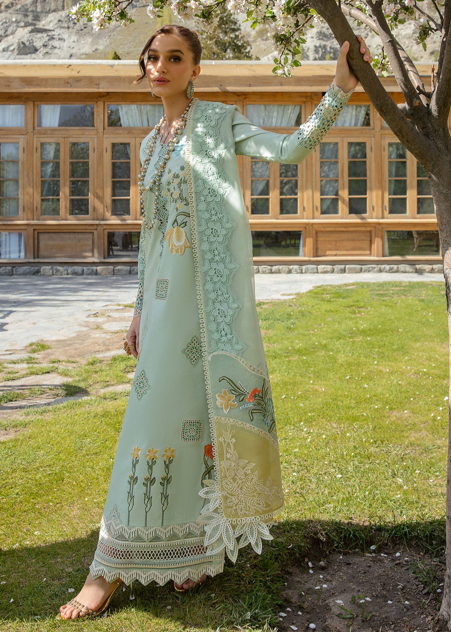 Crimson Embroidered Lawn Unstitched 3Pc Suit CL24-D4B Into The Wild