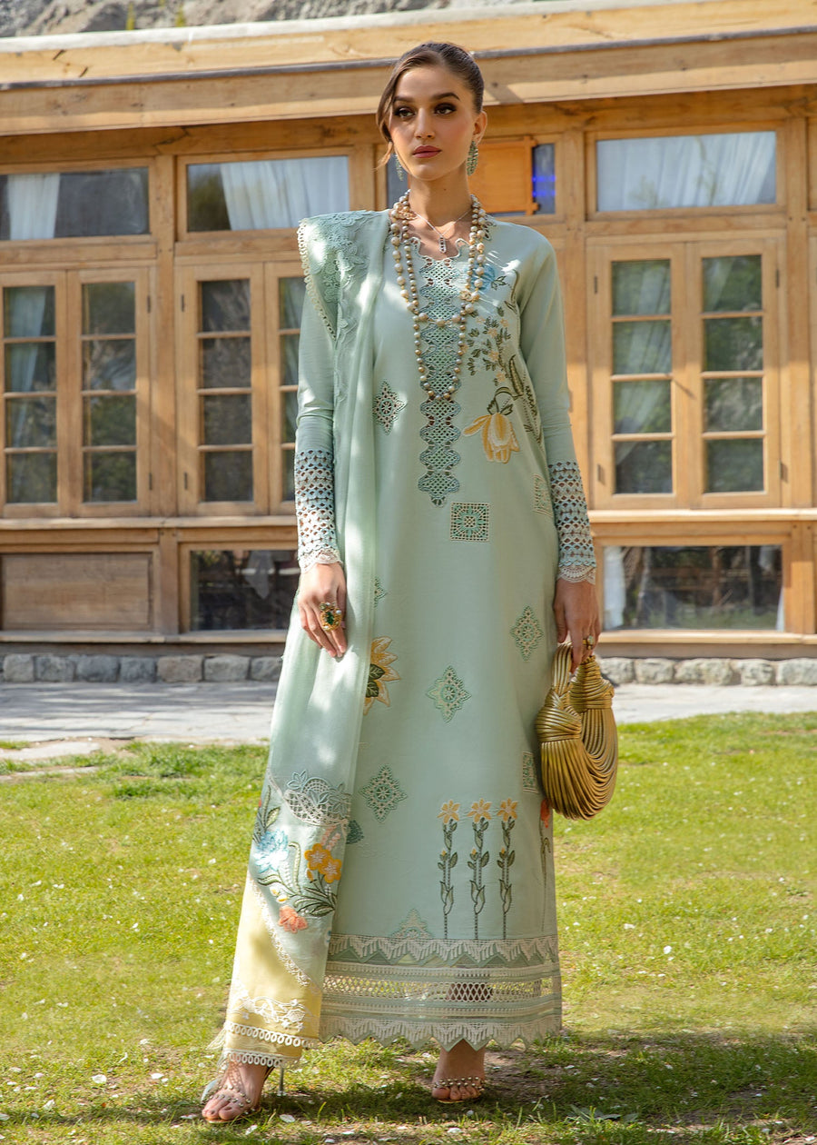 Crimson Embroidered Lawn Unstitched 3Pc Suit CL24-D4B Into The Wild