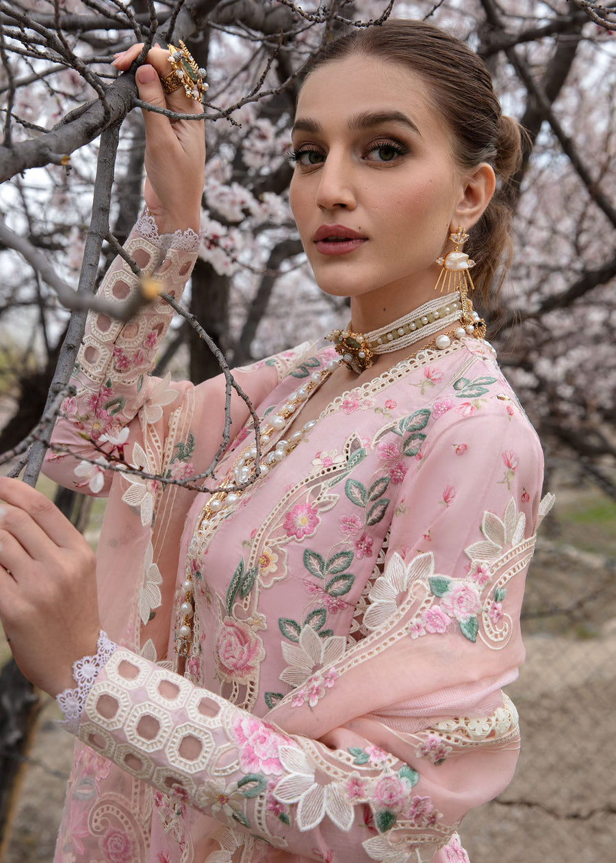 Crimson Embroidered Lawn Unstitched 3Pc Suit CL24-D5B Believe In Her