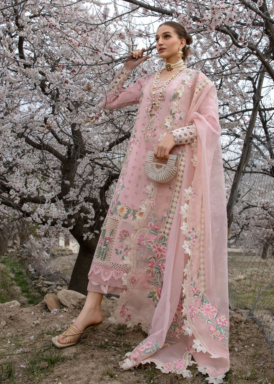 Crimson Embroidered Lawn Unstitched 3Pc Suit CL24-D5B Believe In Her