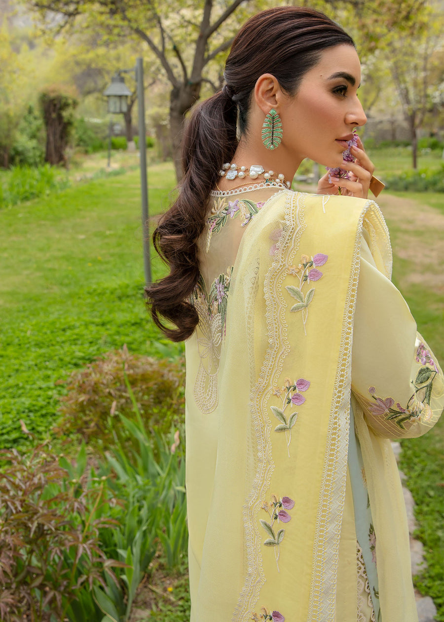 Crimson Embroidered Lawn Unstitched 3Pc Suit CL24-D6B Sun Kissed