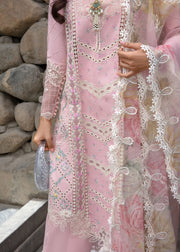 Crimson Embroidered Lawn Unstitched 3Pc Suit CL24-D7B A Floral Mesh