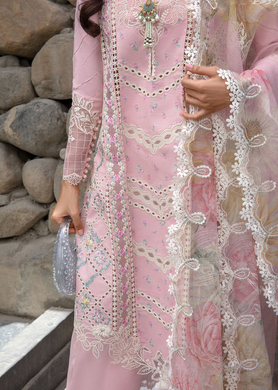 Crimson Embroidered Lawn Unstitched 3Pc Suit CL24-D7B A Floral Mesh
