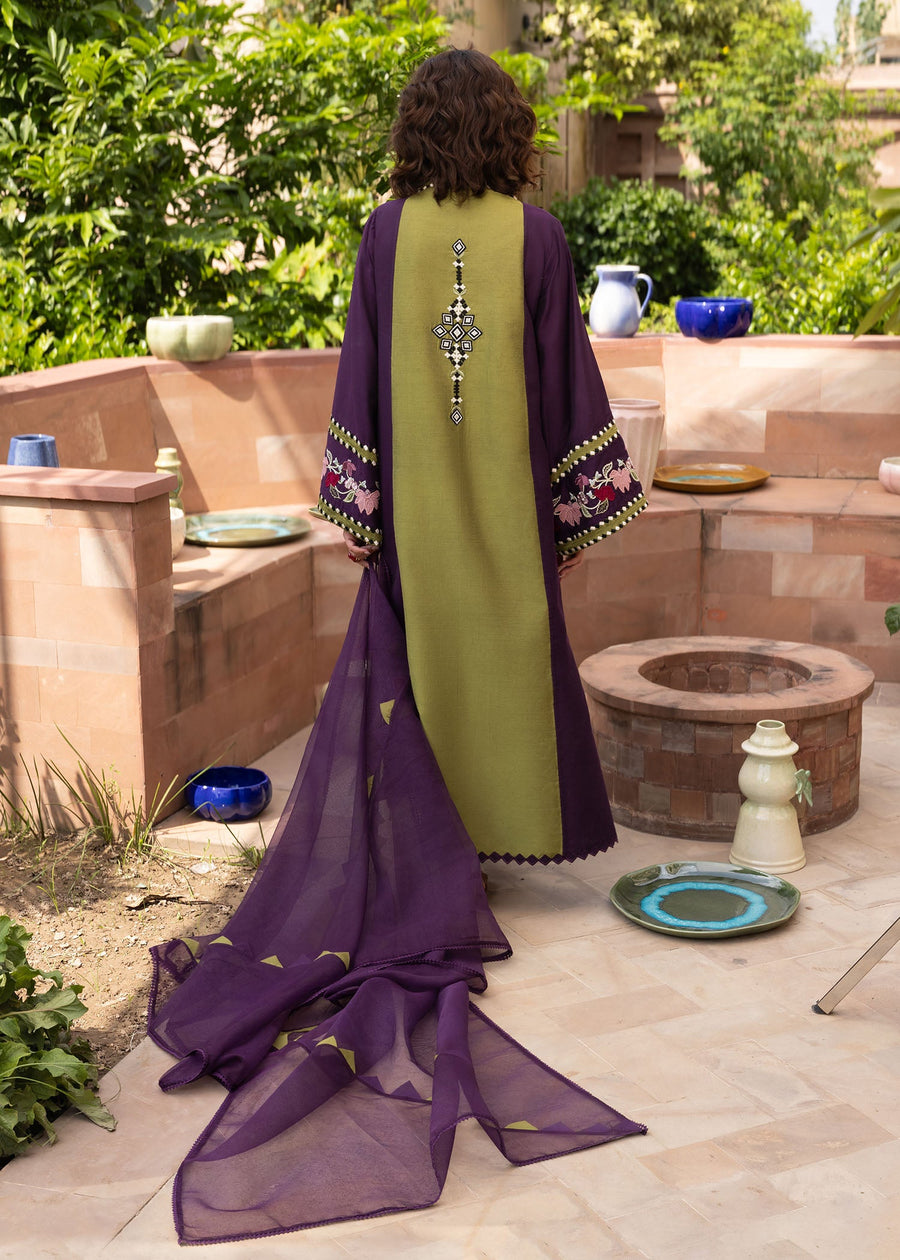 Crimson Mitti Winter Pret Embroidered Raw Silk 3Pc Suit CRWP-04 Rani Vogue(Plum)