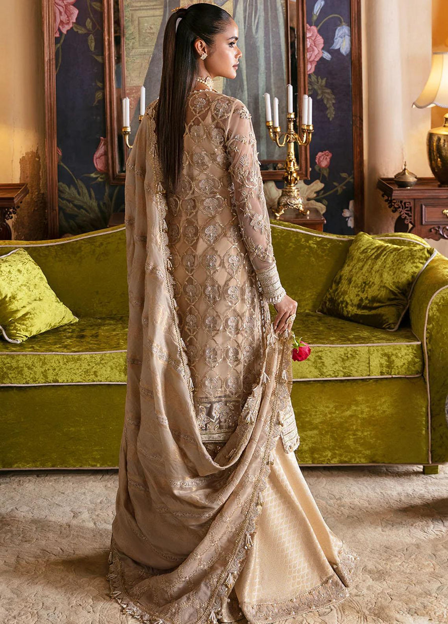 Afrozeh Hayat Unstitched Embroidered Net 3 Piece Suit D-01 SABAT