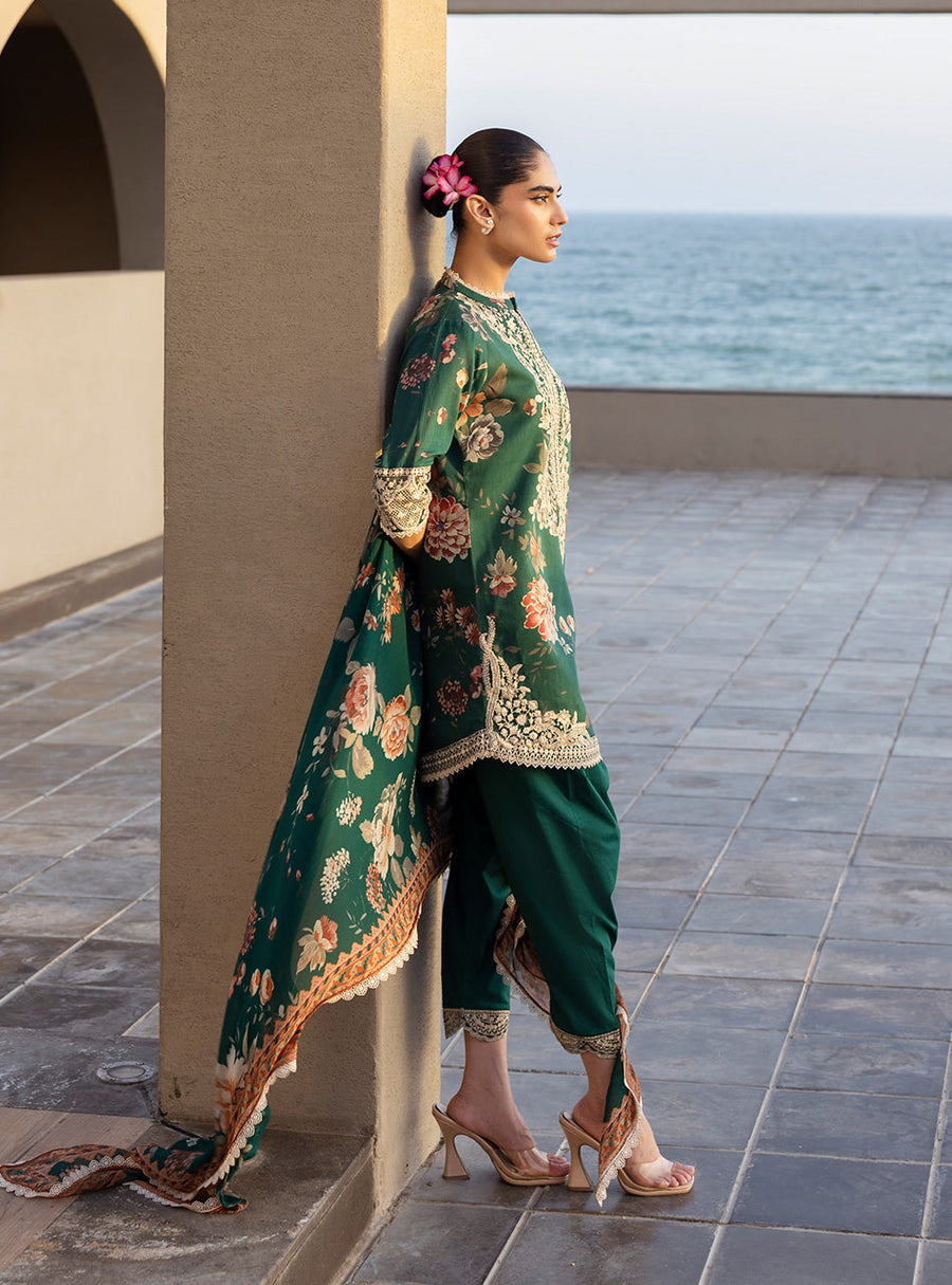 Zainab Chottani Tahra Embroidered Lawn Unstitched 3Pc Suit D-01 VELINA