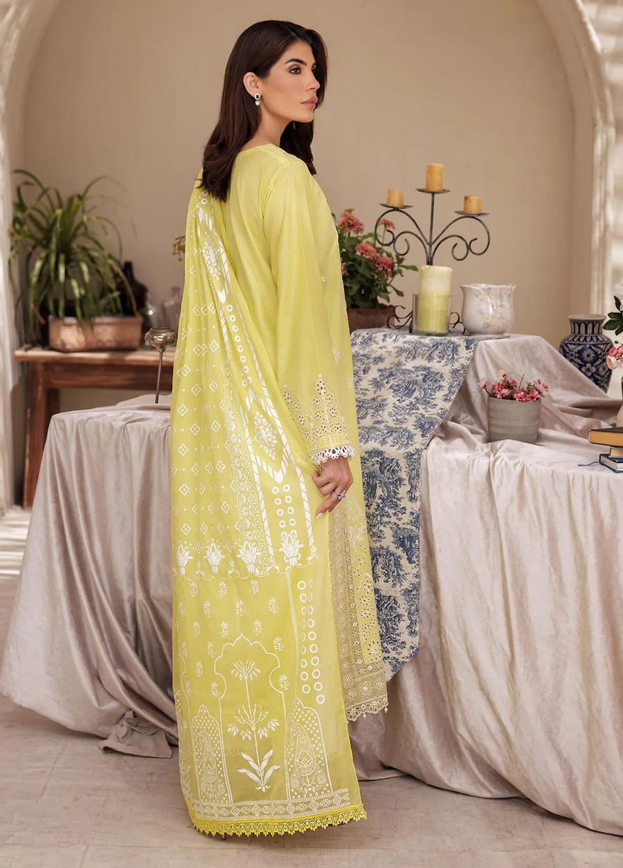 RajBari Nissa Chikankari Embroidered Lawn Unstitched 3 Piece Suit D-02