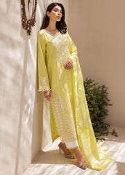 RajBari Nissa Chikankari Embroidered Lawn Unstitched 3 Piece Suit D-02