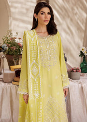 RajBari Nissa Chikankari Embroidered Lawn Unstitched 3 Piece Suit D-02