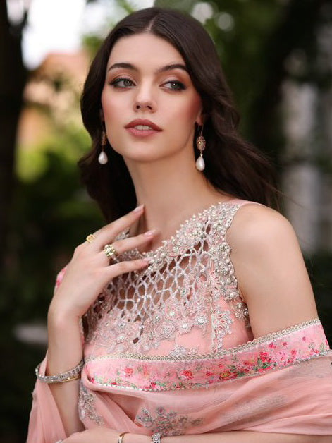 Noor by Saadia Asad Embroidered Chiffon Unstitched 3Pc Suit D-02 EKAI