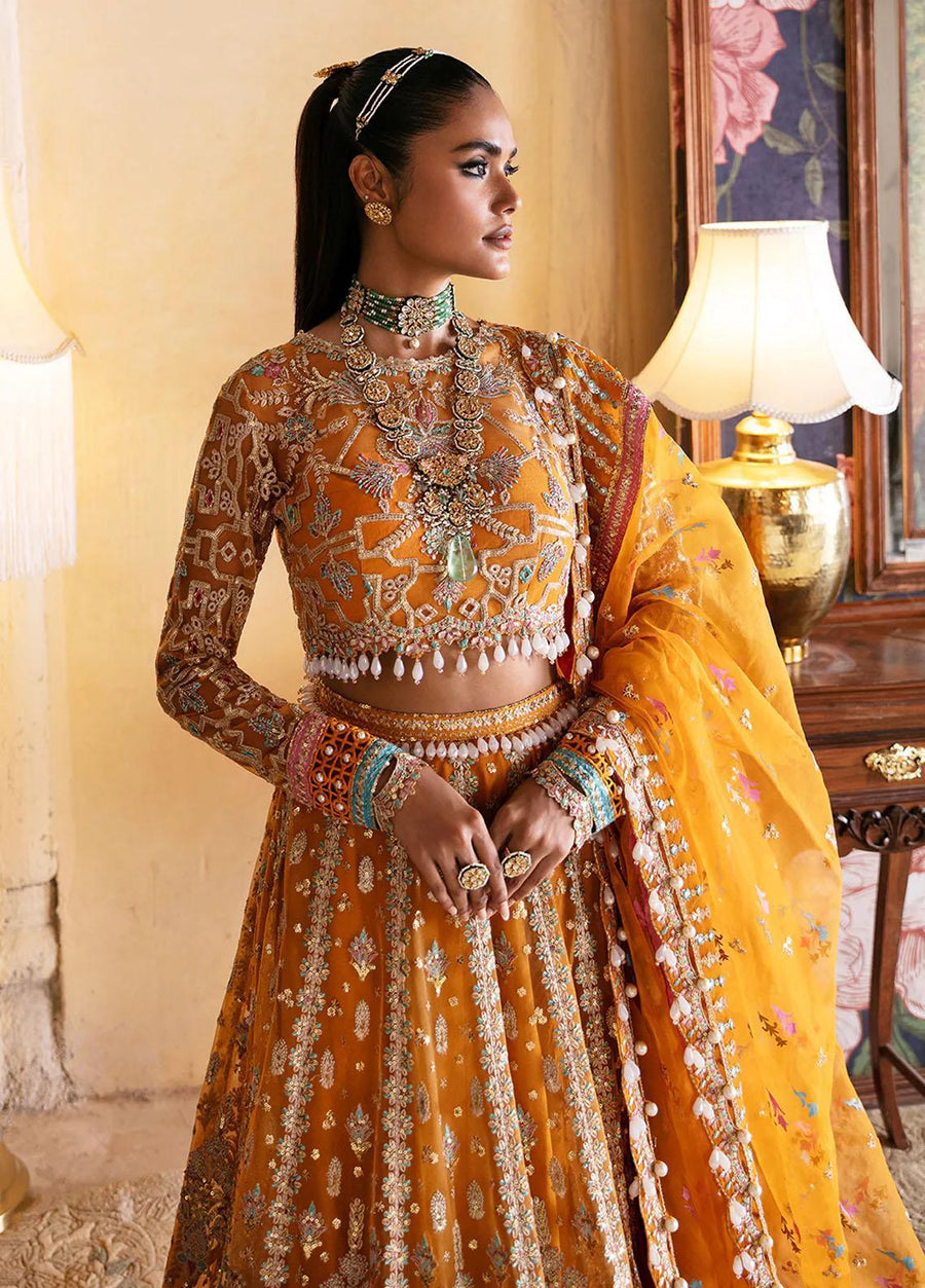 Afrozeh Hayat Unstitched Embroidered Net 3 Piece Suit D-02 KAMILA