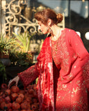 Rang Rasiya Carnation Embroidered Karandi Unstitched 3Pc Suit D-02 Cold Brew