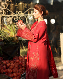 Rang Rasiya Carnation Embroidered Karandi Unstitched 3Pc Suit D-02 Cold Brew