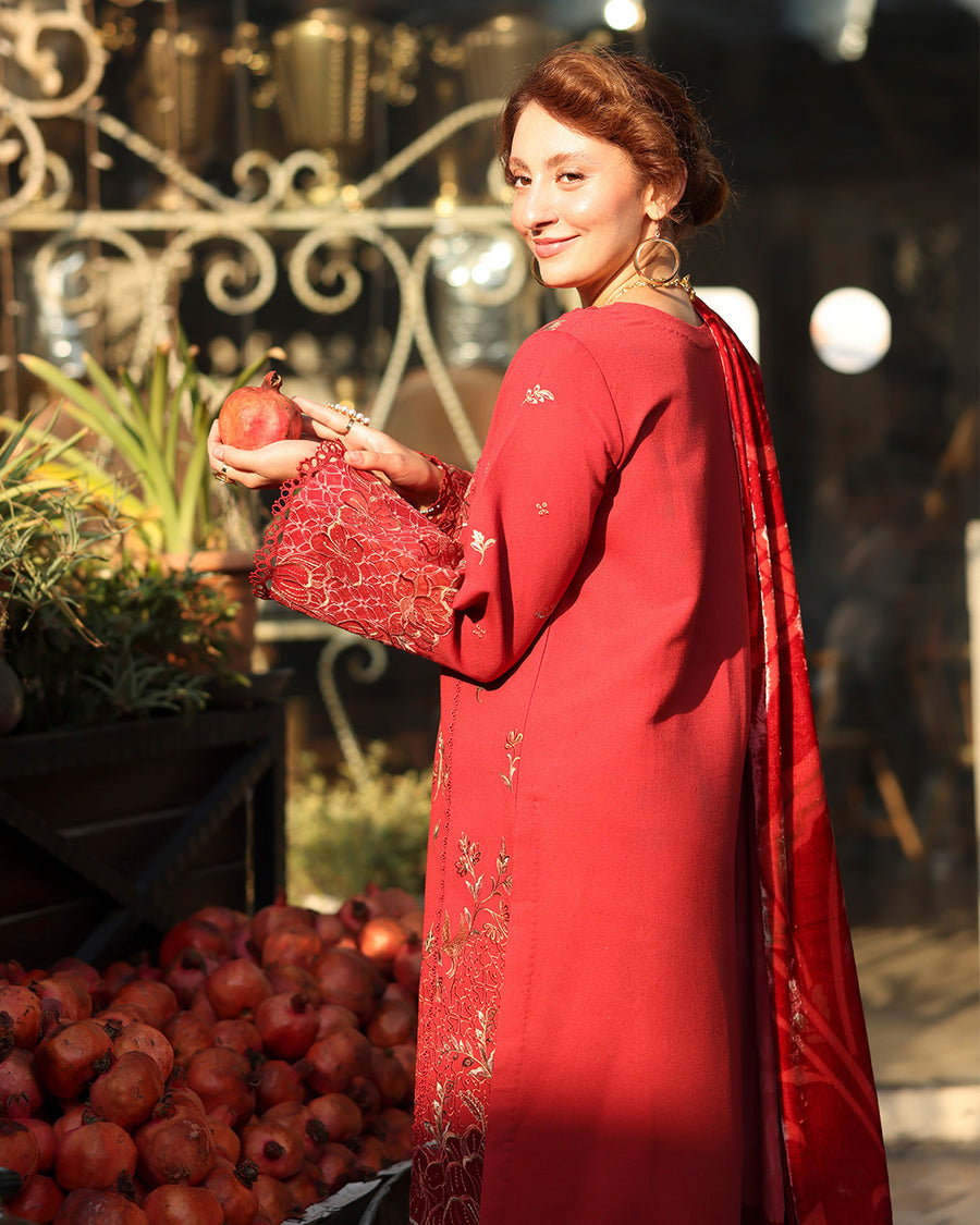 Rang Rasiya Carnation Embroidered Karandi Unstitched 3Pc Suit D-02 Cold Brew