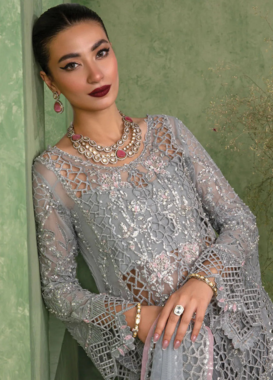 Rang Rasiya Chatoyer Embroidered Chiffon Unstitched 3Pc Suit D-02 Deena