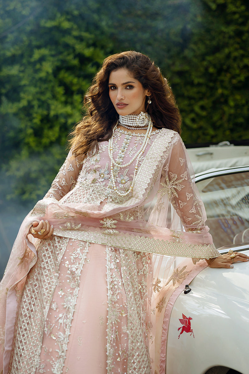 Mushq Stardust Embroidered Net Unstitched 3Pc Suit D-04 Starlet Sparkle
