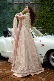 Mushq Stardust Embroidered Net Unstitched 3Pc Suit D-04 Starlet Sparkle