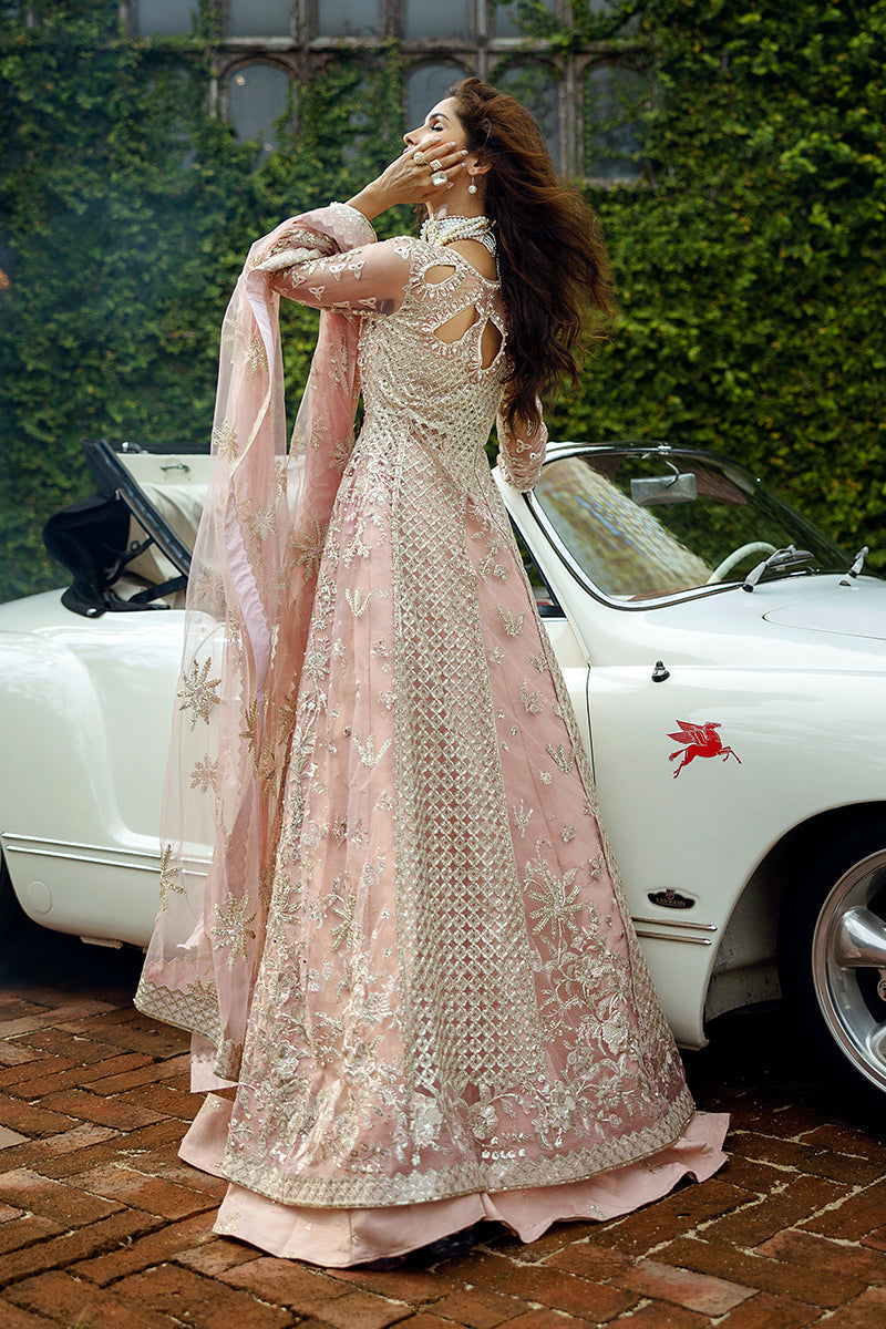 Mushq Stardust Embroidered Net Unstitched 3Pc Suit D-04 Starlet Sparkle