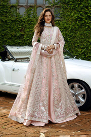 Mushq Stardust Embroidered Net Unstitched 3Pc Suit D-04 Starlet Sparkle