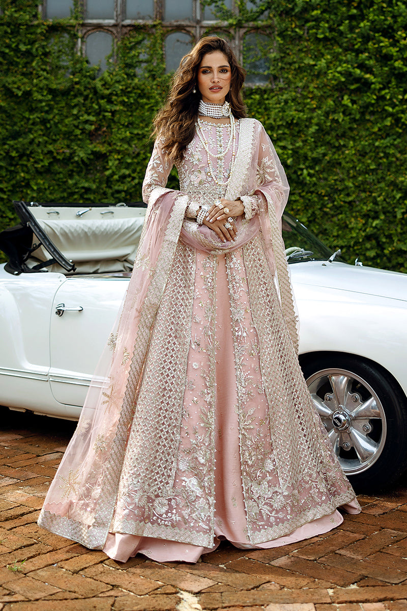 Mushq Stardust Embroidered Net Unstitched 3Pc Suit D-04 Starlet Sparkle