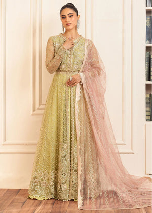 Hemline by Mushq Embroidered Net Unstitched 3Pc Suit D-02 Wasabi