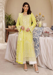 RajBari Nissa Chikankari Embroidered Lawn Unstitched 3 Piece Suit D-02