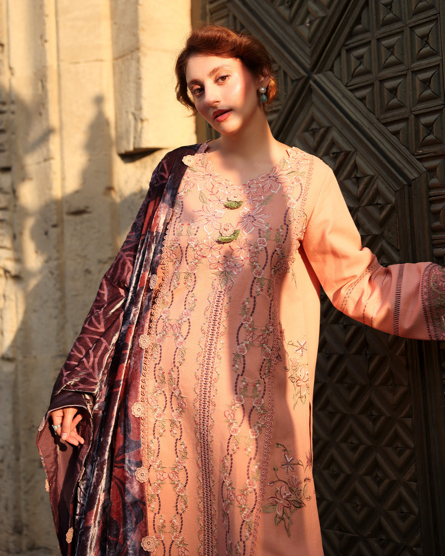 Rang Rasiya Carnation Embroidered Karandi Unstitched 3Pc Suit D-03 Latte