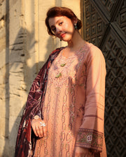 Rang Rasiya Carnation Embroidered Karandi Unstitched 3Pc Suit D-03 Latte