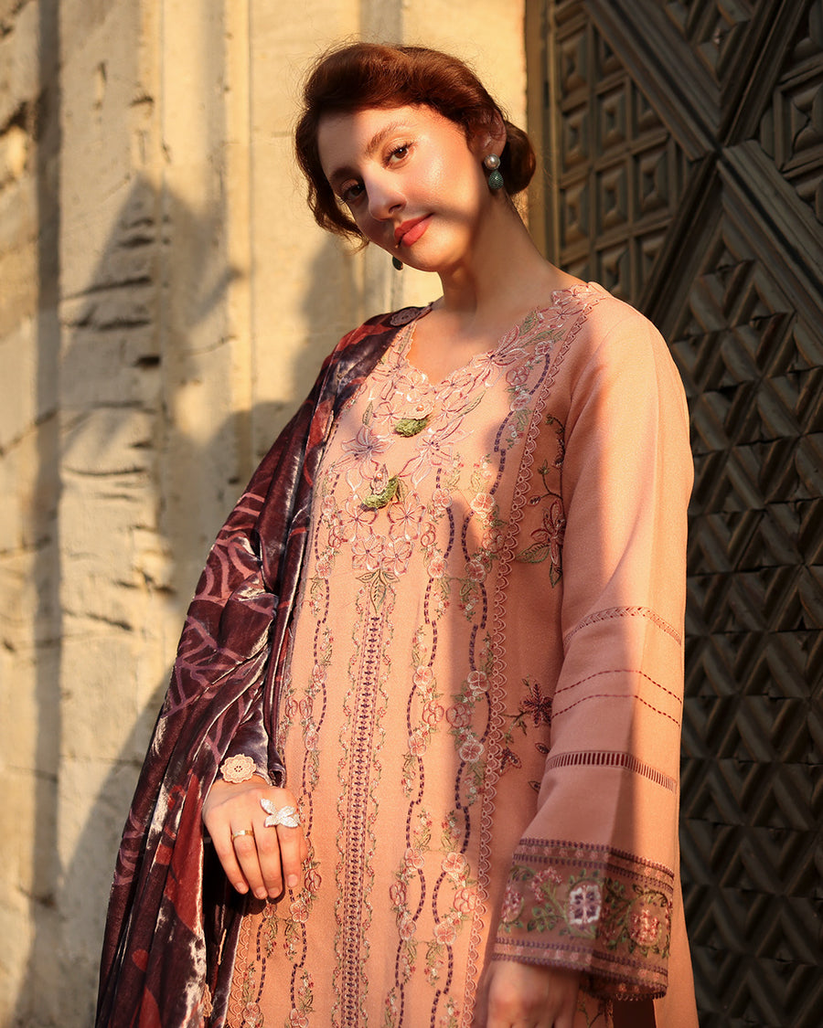 Rang Rasiya Carnation Embroidered Karandi Unstitched 3Pc Suit D-03 Latte