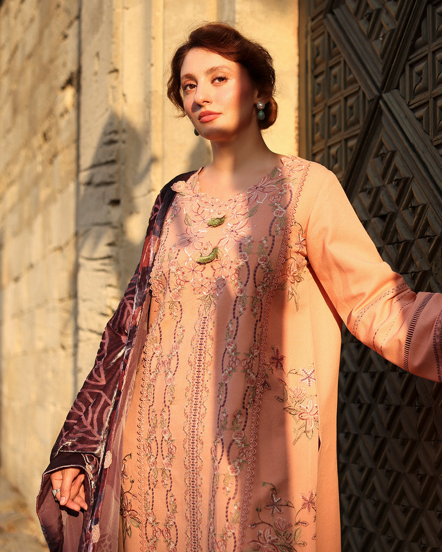 Rang Rasiya Carnation Embroidered Karandi Unstitched 3Pc Suit D-03 Latte