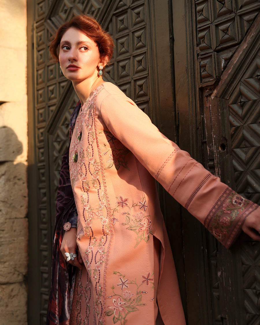 Rang Rasiya Carnation Embroidered Karandi Unstitched 3Pc Suit D-03 Latte