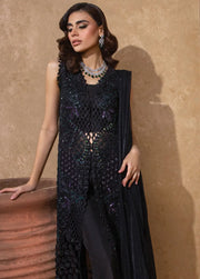 Rang Rasiya Chatoyer Embroidered Chiffon Unstitched 3Pc Suit D-03 Mira