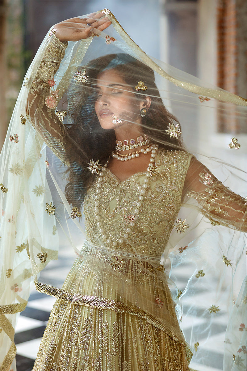 Mushq Stardust Embroidered Net Unstitched 3Pc Suit D-06 Cosmic Couture