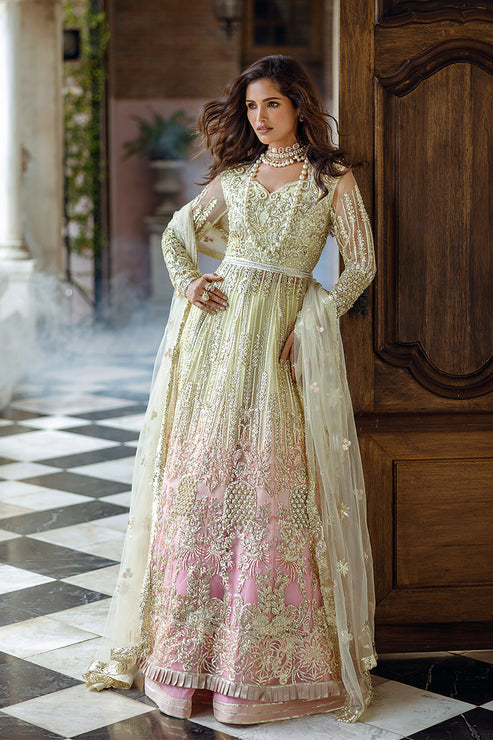 Mushq Stardust Embroidered Net Unstitched 3Pc Suit D-06 Cosmic Couture