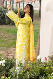 RajBari Summer Printkari Exclusive Lawn Unstitched 3Pc Suit D-05