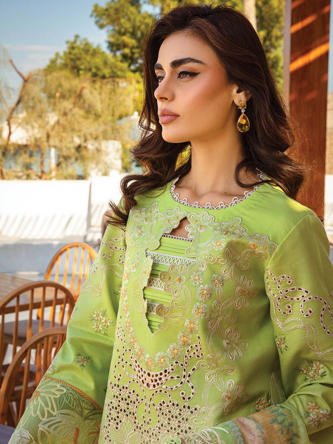 Rang Rasiya Premium Embroidered Lawn Unstitched 3Pc Suit D-03 ELAHEH