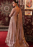 Afrozeh Hayat Unstitched Embroidered Net 3 Piece Suit D-06 RUBAB