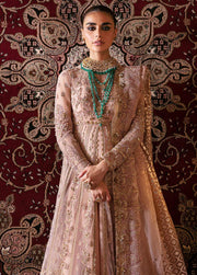 Afrozeh Hayat Unstitched Embroidered Net 3 Piece Suit D-06 RUBAB