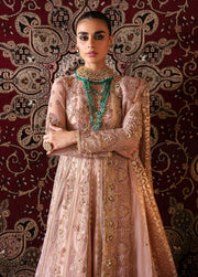 Afrozeh Hayat Unstitched Embroidered Net 3 Piece Suit D-06 RUBAB