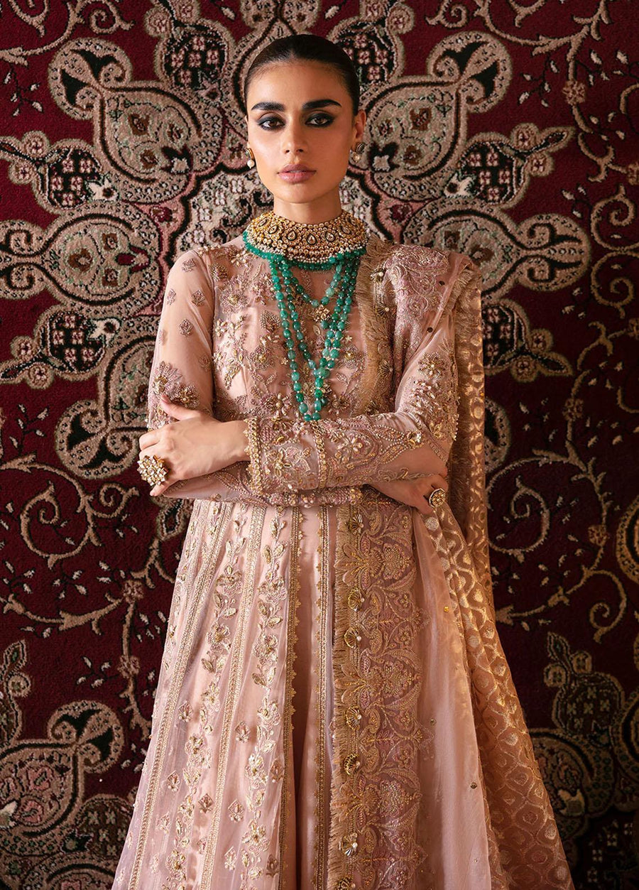 Afrozeh Hayat Unstitched Embroidered Net 3 Piece Suit D-06 RUBAB