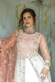 Mushq Stardust Embroidered Net Unstitched 3Pc Suit D-01 Galaxy Gown