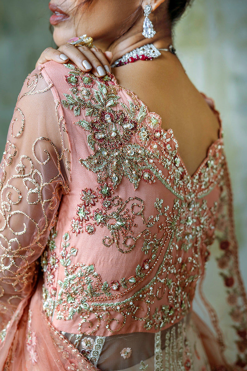 Mushq Stardust Embroidered Net Unstitched 3Pc Suit D-01 Galaxy Gown