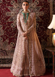 Afrozeh Hayat Unstitched Embroidered Net 3 Piece Suit D-06 RUBAB